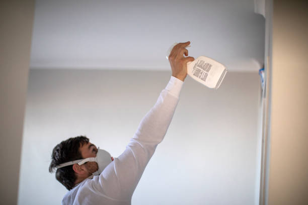 Best Local Mold Removal Service  in Laurence Harbor, NJ