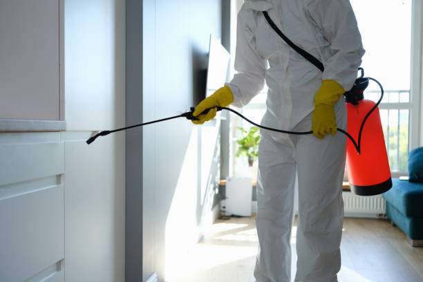 Best Certified Mold Removal  in Laurence Harbor, NJ