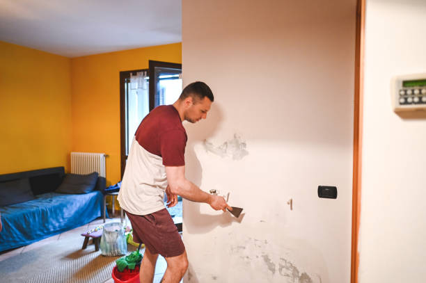 Best Professional Mold Removal  in Laurence Harbor, NJ